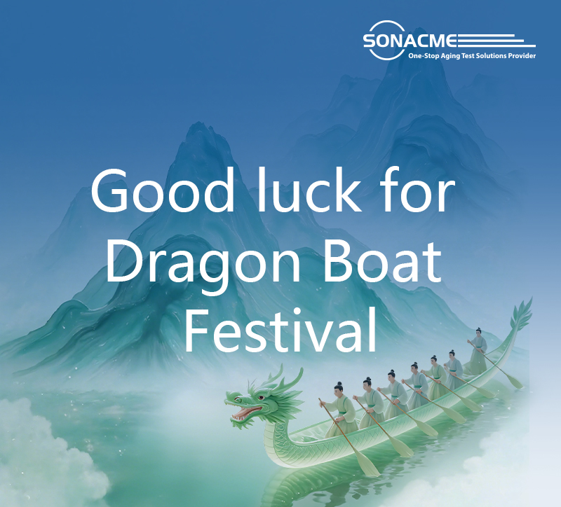 Good luck for Dragon Boat Festival | With Precise 